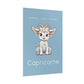 Poster Baby Boy BLEU - Capricorne
